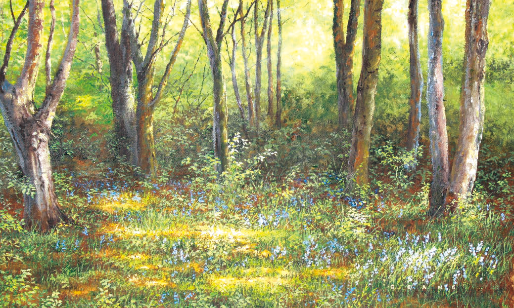 ブルーベル イン ザ クリアリング